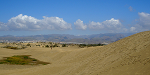 Reisetipp Gran Canaria: Dünen von Maspalomas