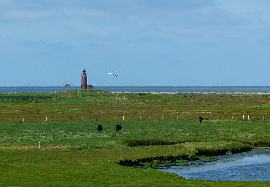Leuchtturm Nordmarsch Leuchtturm Nordmarsch