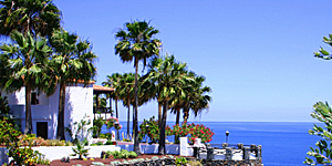 Im Hotel Jardín Tecina auf La Gomera werden Gäste zu Hobby-Botanikern